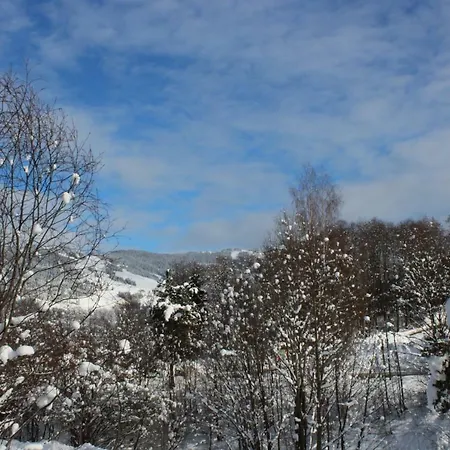 Schoenfeld Appartement