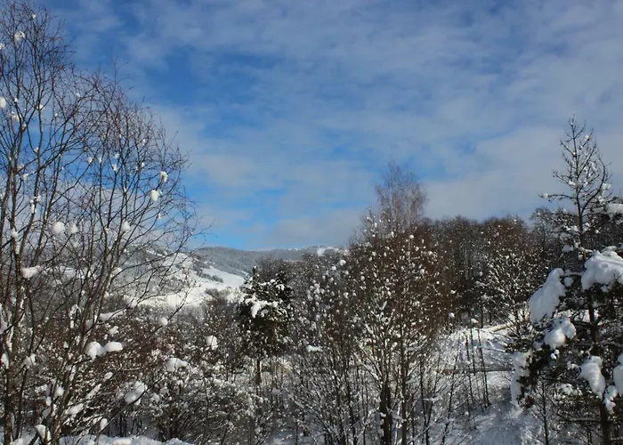 Schoenfeld アパート